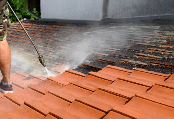 Best House Pressure Washing  in Culver City, CA